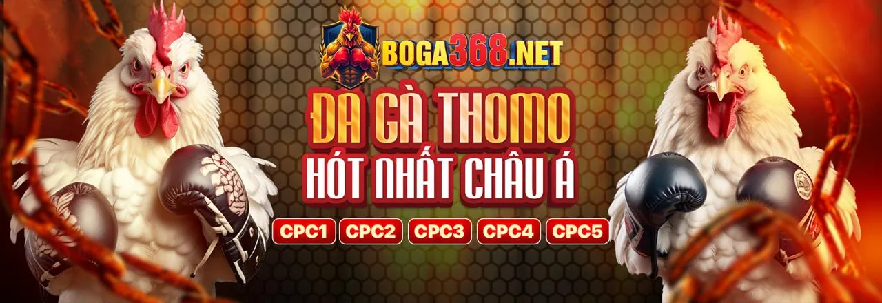 Công cụ tự loại trừ